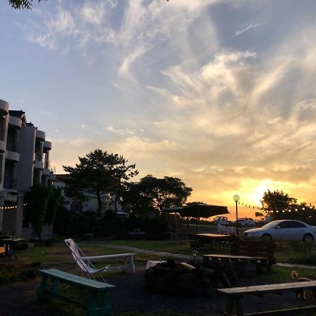 Jeju Playground旅舍 外观 照片